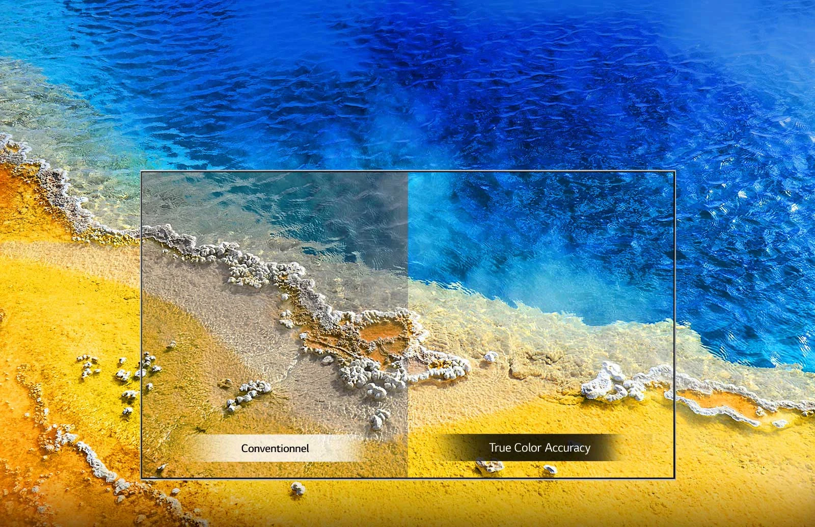 Véritable précision des couleurs1