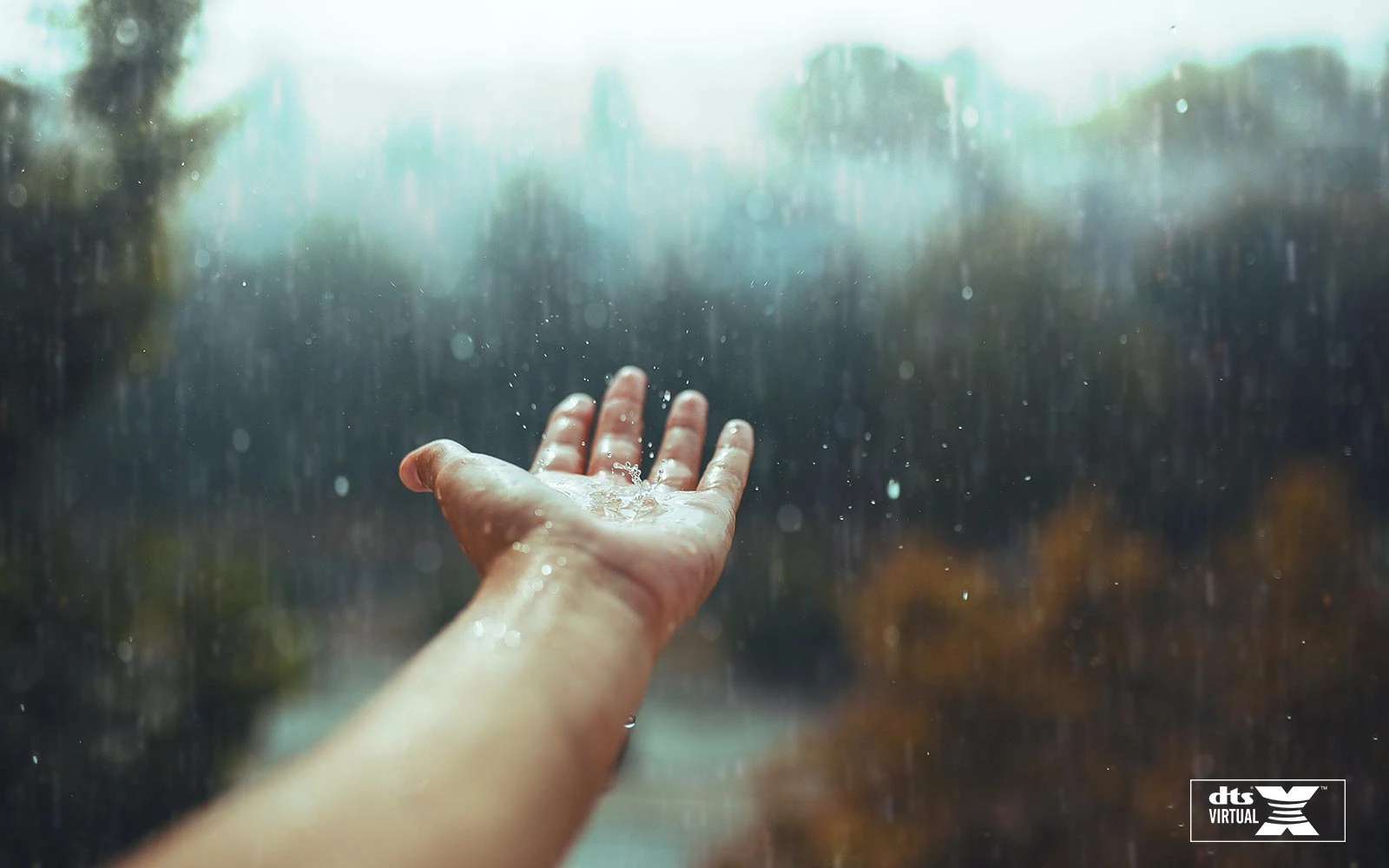 Richesse et précision du son représentées par la pluie