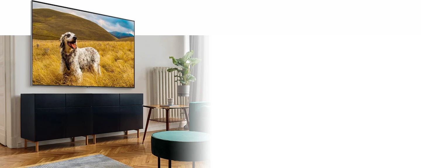 Un téléviseur sur un meuble dans le salon moderne affiche un chien marron moucheté sur un gazon en Mode Naturel.