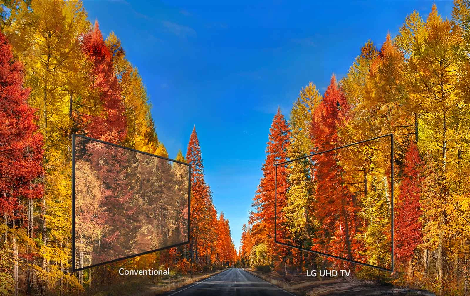Téléviseurs LG - Des images cohérentes sous tous les angles